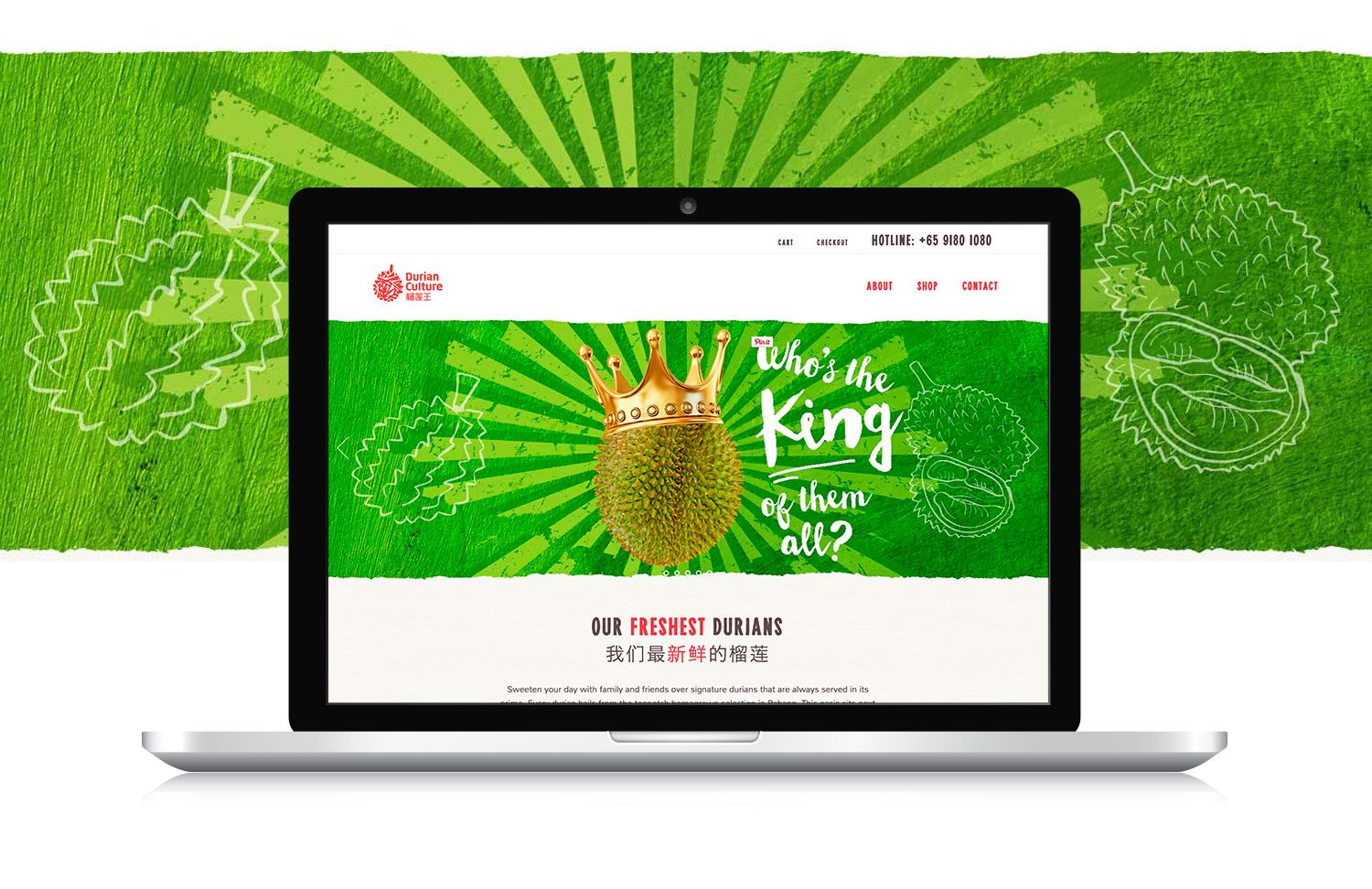 Durian Culture Responsive Website Design and Development