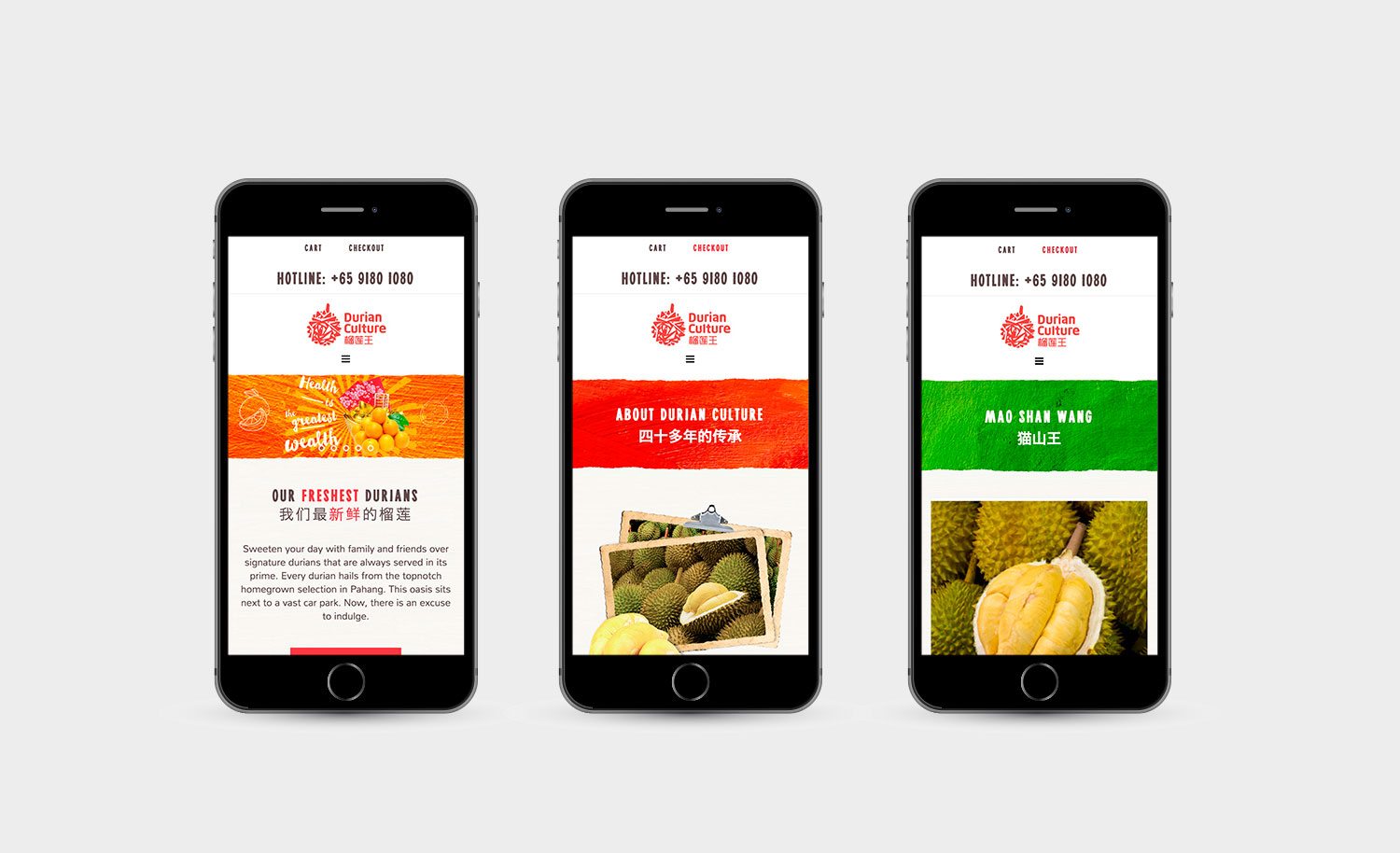 Durian Culture Responsive Website Design and Development Mobile